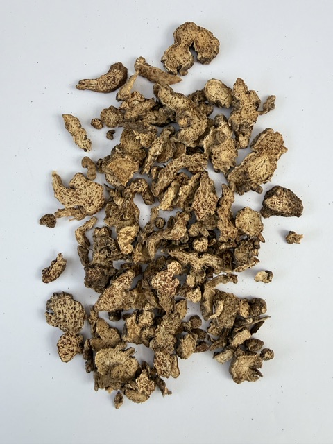 Cang Zhu