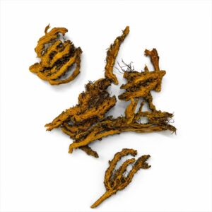HUANG LIAN 黄連