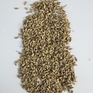 MAI YA (CHAO) 麦芽(炒)