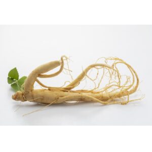 Ginseng
